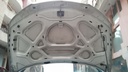 CAR HOOD