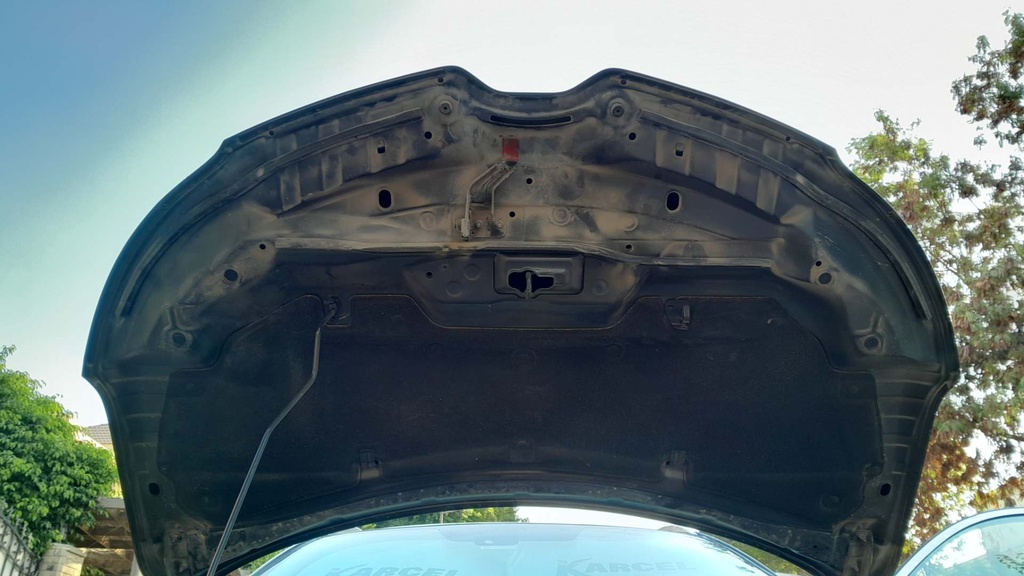 CAR HOOD
