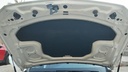 CAR HOOD
