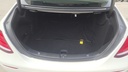 TRUNK