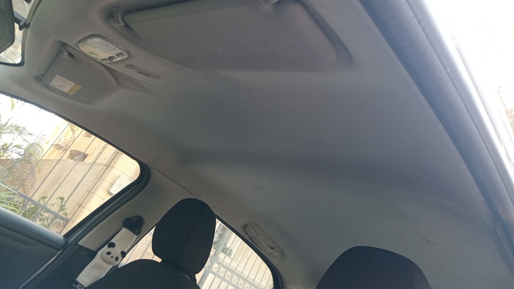 CAR ROOF MAT