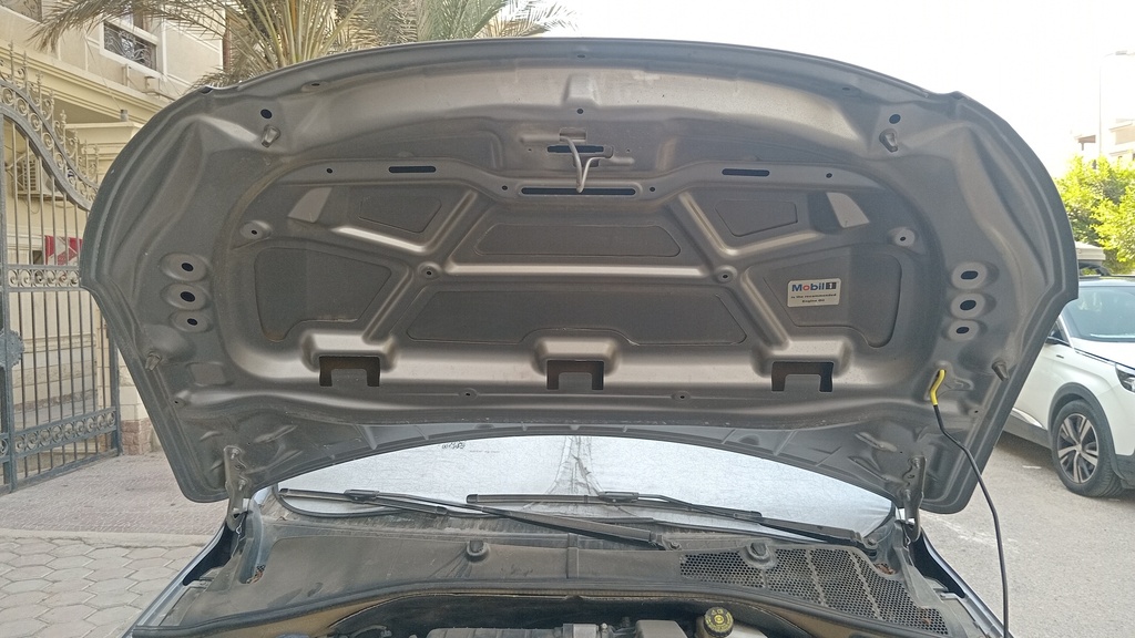 CAR HOOD