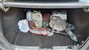 TRUNK