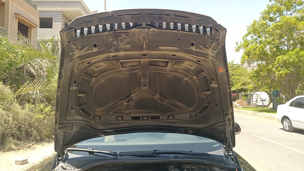 CAR HOOD