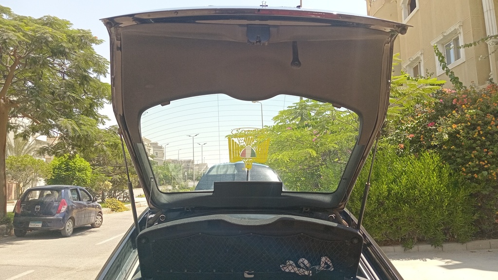 TRUNK HOOD