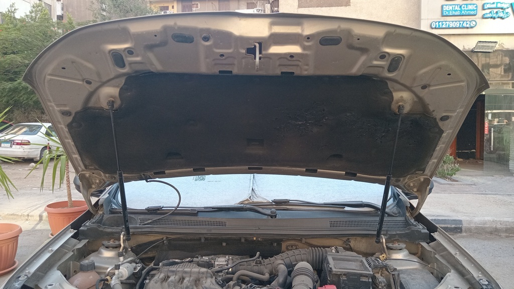 CAR HOOD