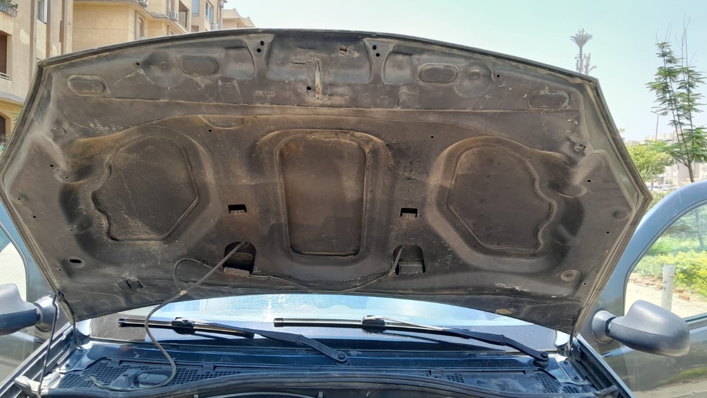 CAR HOOD