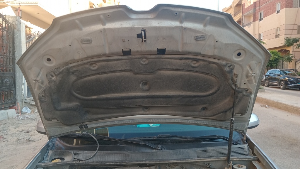 CAR HOOD