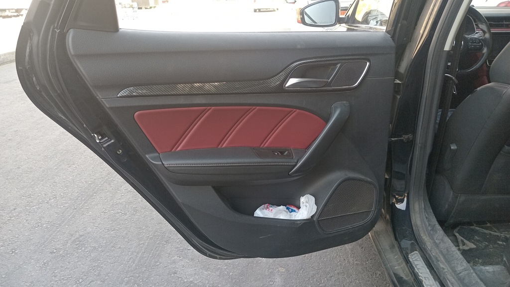 RR L DOOR