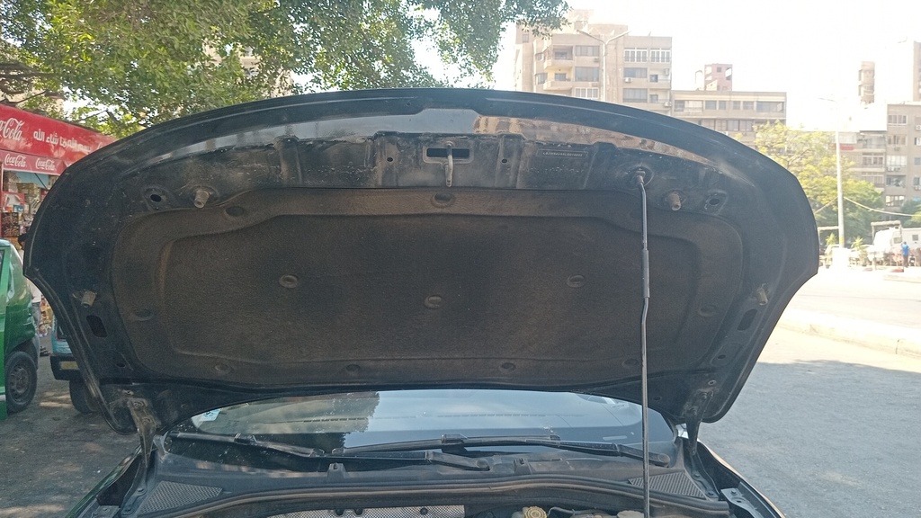 CAR HOOD