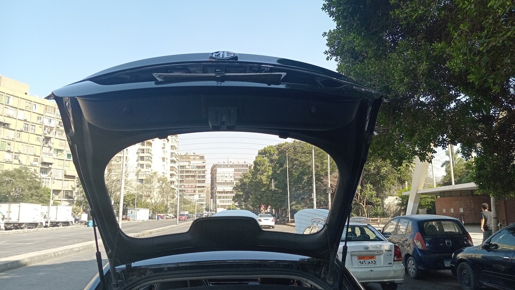 TRUNK HOOD