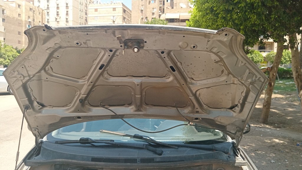 CAR HOOD