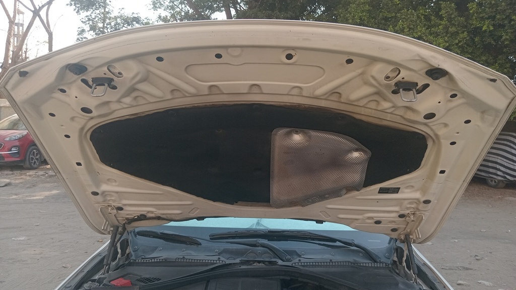 CAR HOOD