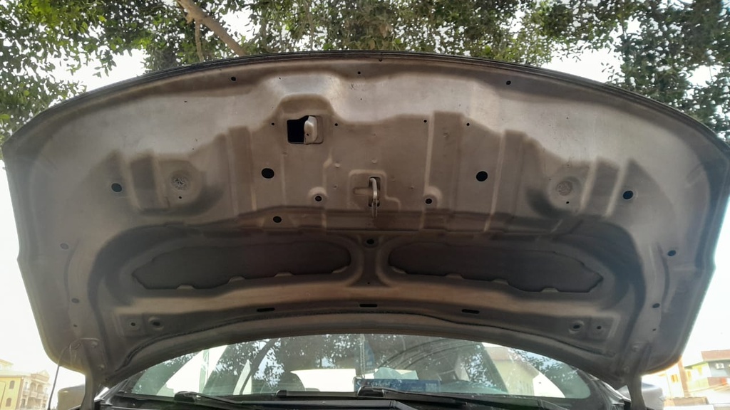 CAR HOOD