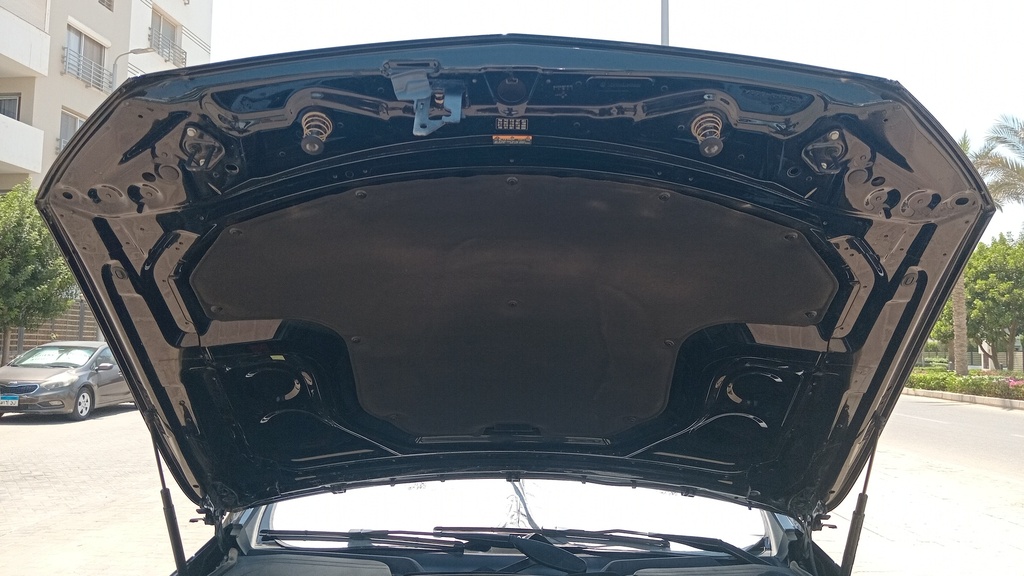 CAR HOOD
