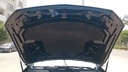 CAR HOOD