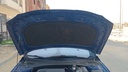 CAR HOOD