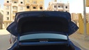 TRUNK HOOD