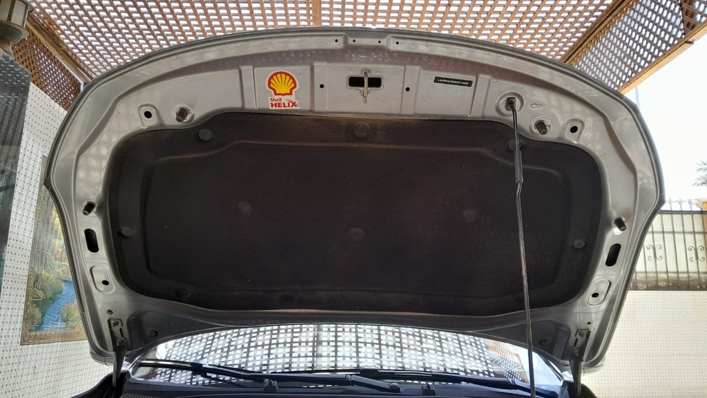 CAR HOOD