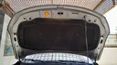 CAR HOOD