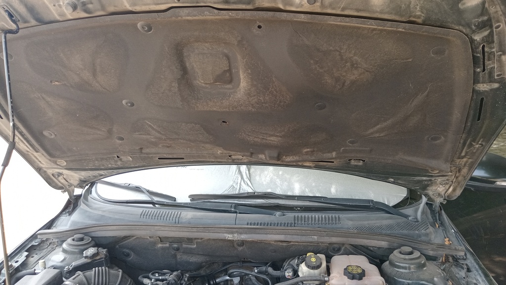 CAR HOOD
