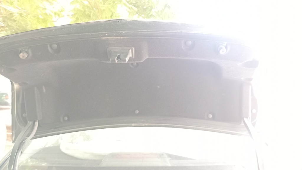 TRUNK HOOD