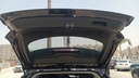 TRUNK HOOD