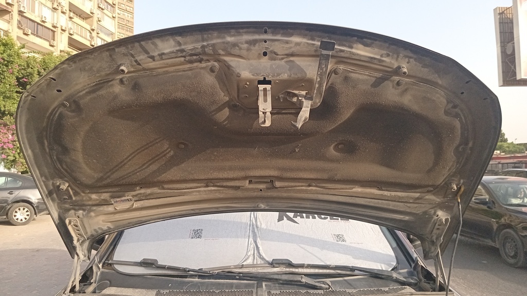 CAR HOOD