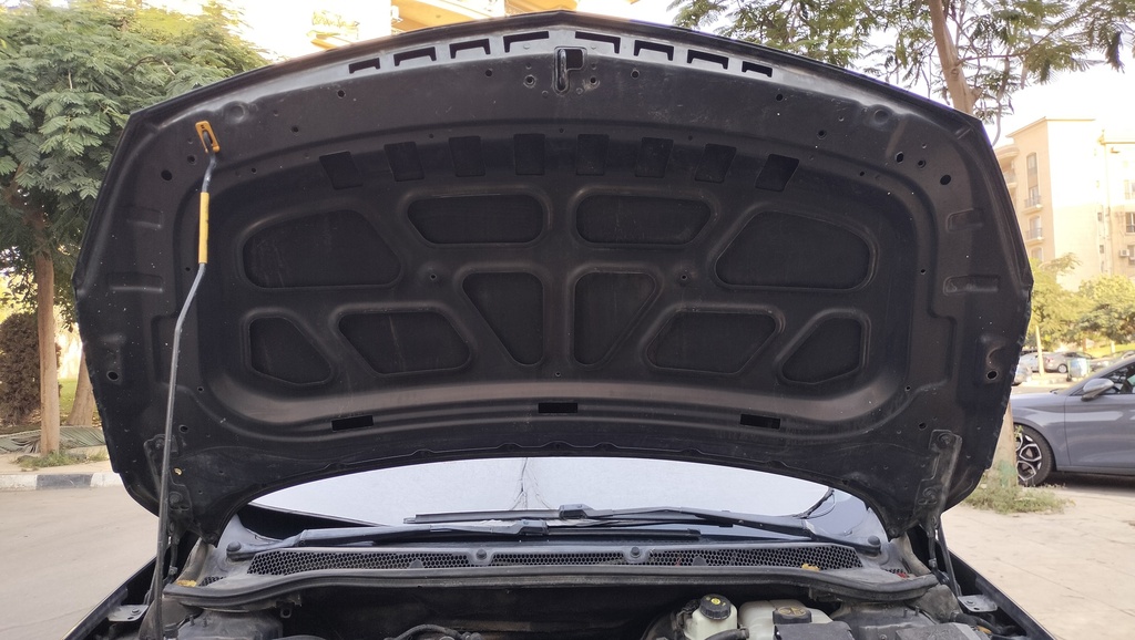 CAR HOOD