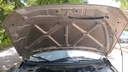 CAR HOOD