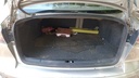 TRUNK