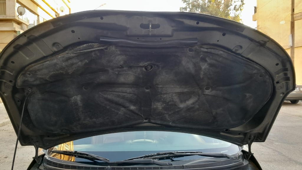 CAR HOOD