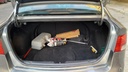TRUNK