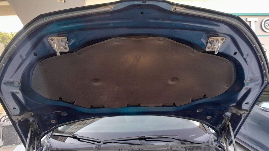 CAR HOOD