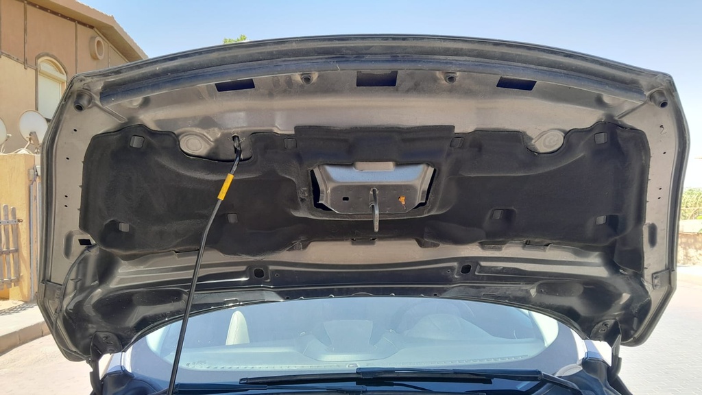 CAR HOOD