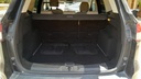 TRUNK