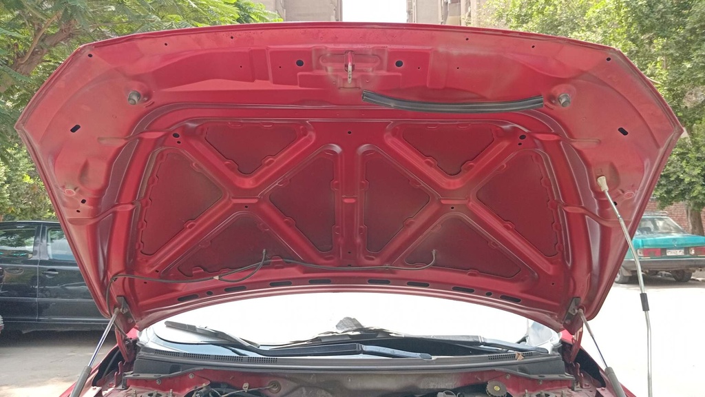 CAR HOOD
