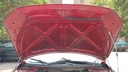 CAR HOOD