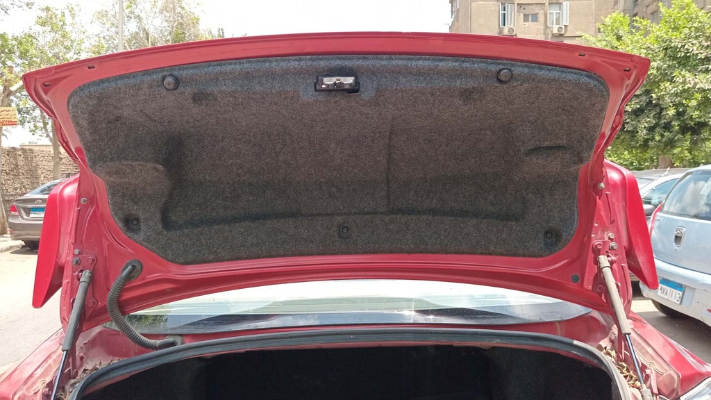 TRUNK HOOD