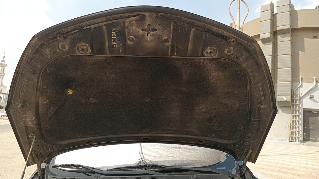 CAR HOOD