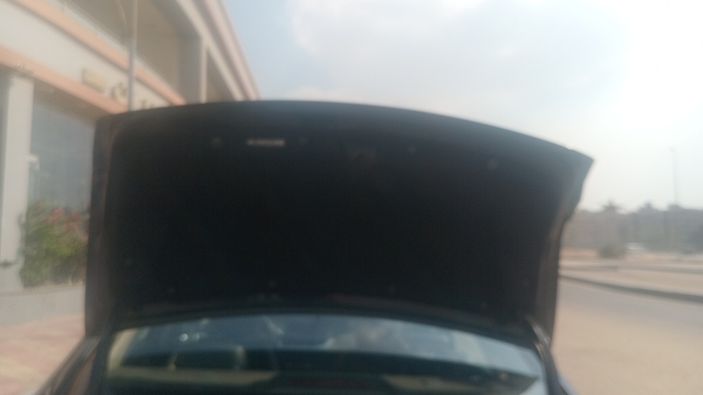 TRUNK HOOD