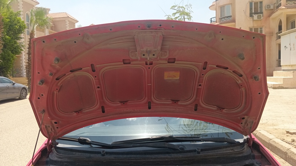 CAR HOOD