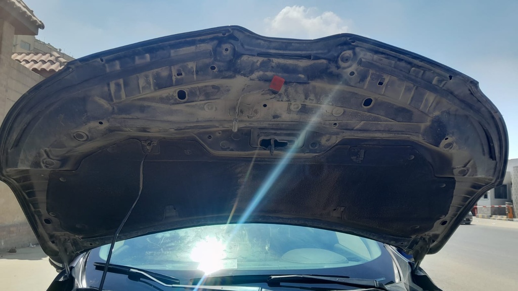 CAR HOOD