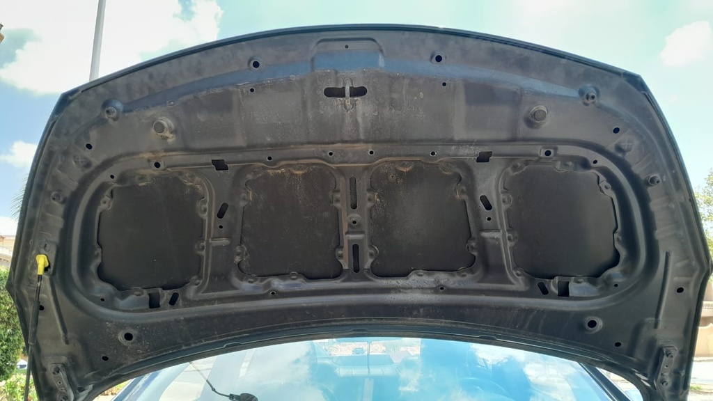 CAR HOOD