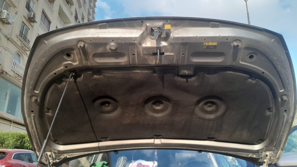 CAR HOOD