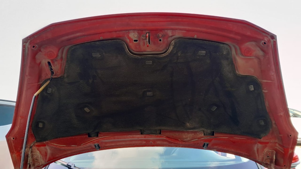CAR HOOD