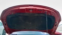 CAR HOOD