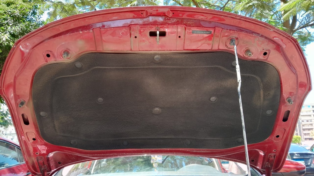 CAR HOOD