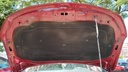 CAR HOOD