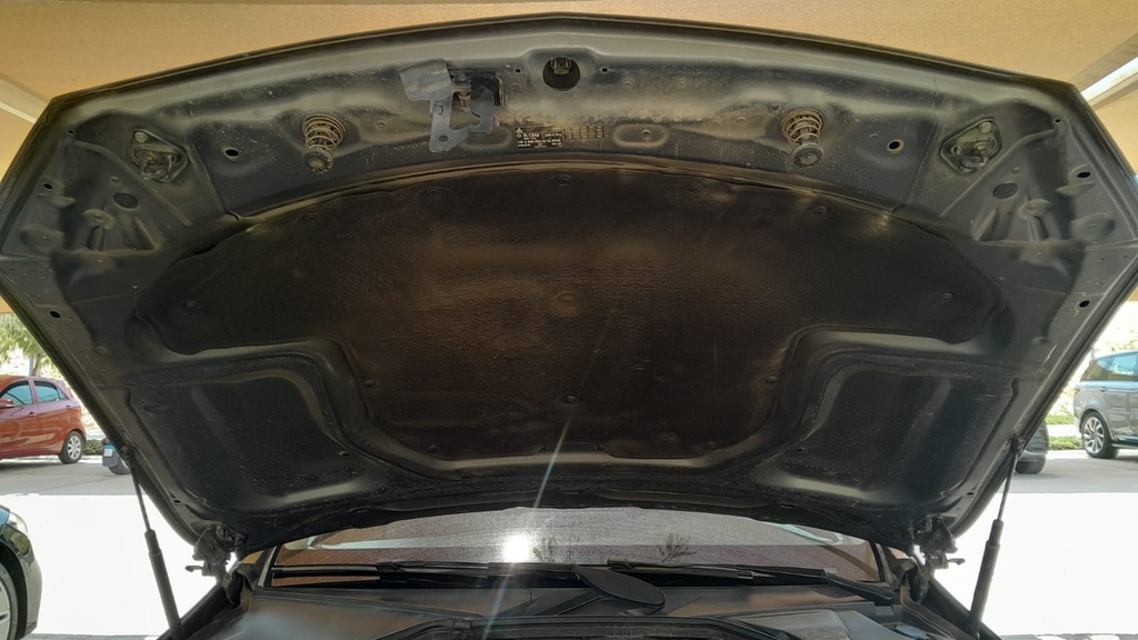 CAR HOOD